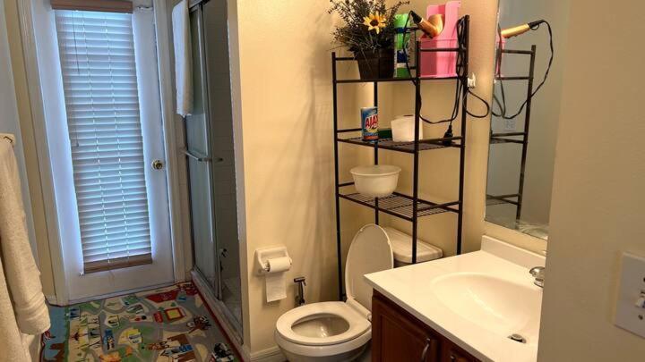 Room In Citrus Park And Carollwood, Close To The Airport & Downtown Tampa Exterior foto